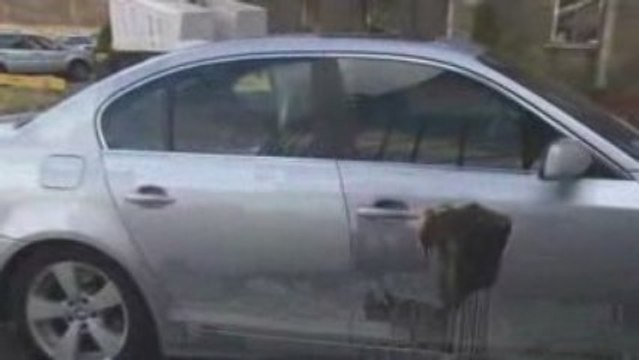 Auto Detailing Equipment - How Pressure Washer Works