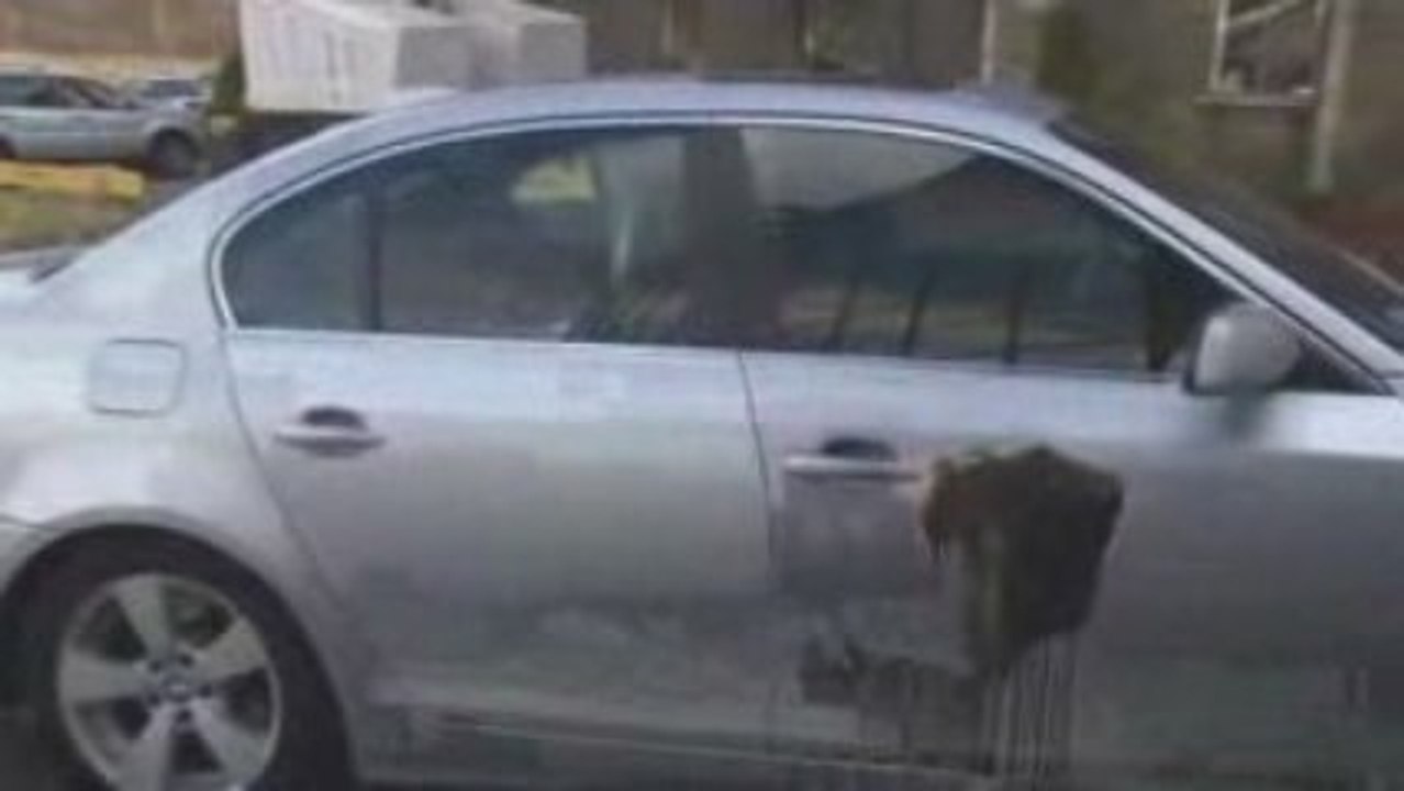 Auto Detailing Equipment - How Pressure Washer Works