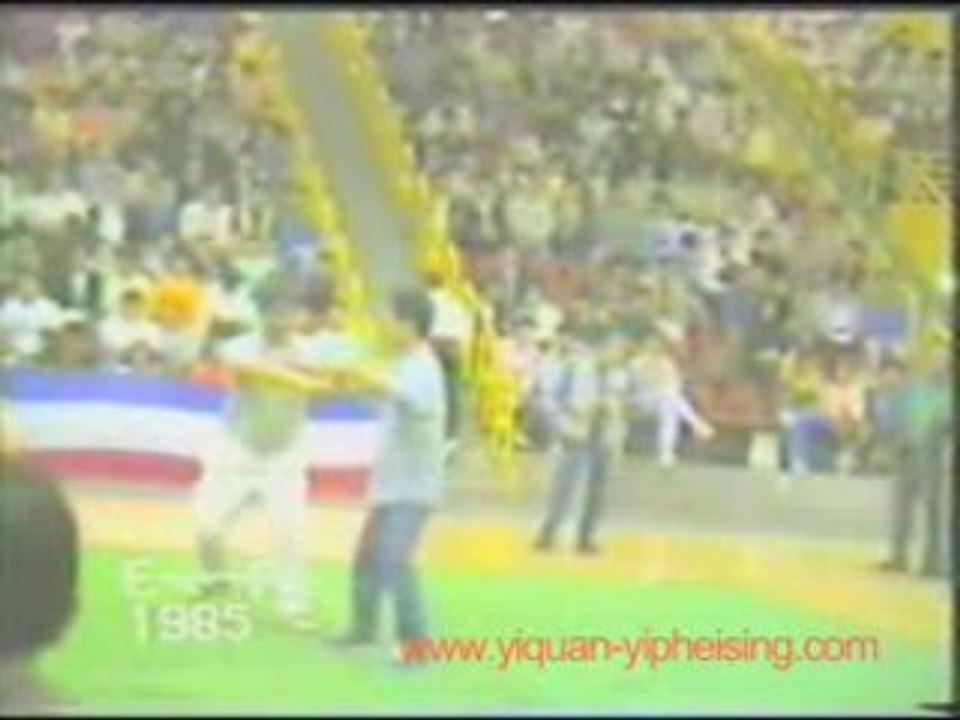 yi quan fajin