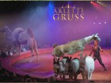 Cirque : Arlette Gruss fait escale à Troyes