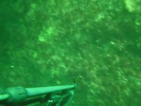 Chasse sous marine bretagne (bar 4 kg 14.06.2009)