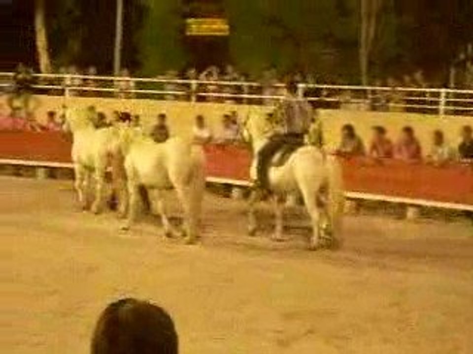 codognan