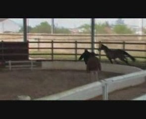 tabata de la treille