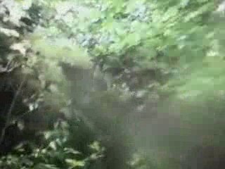 Reconnaissance 4H Verquigneul 09