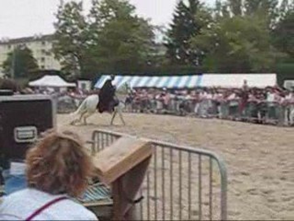 centre équestre andilly