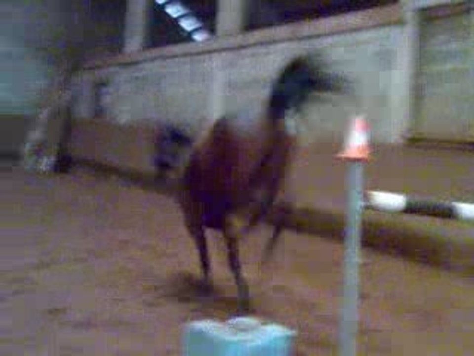 Vid��o020a9
