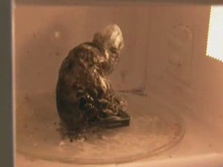 T��l��phone portable dans un micro-ondes