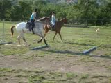 Travail au galop sur des barres au sol