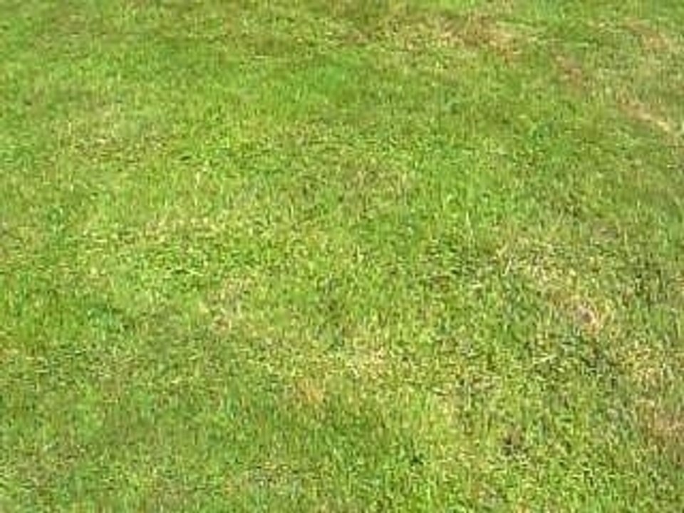 Championnat de France épreuves combinées