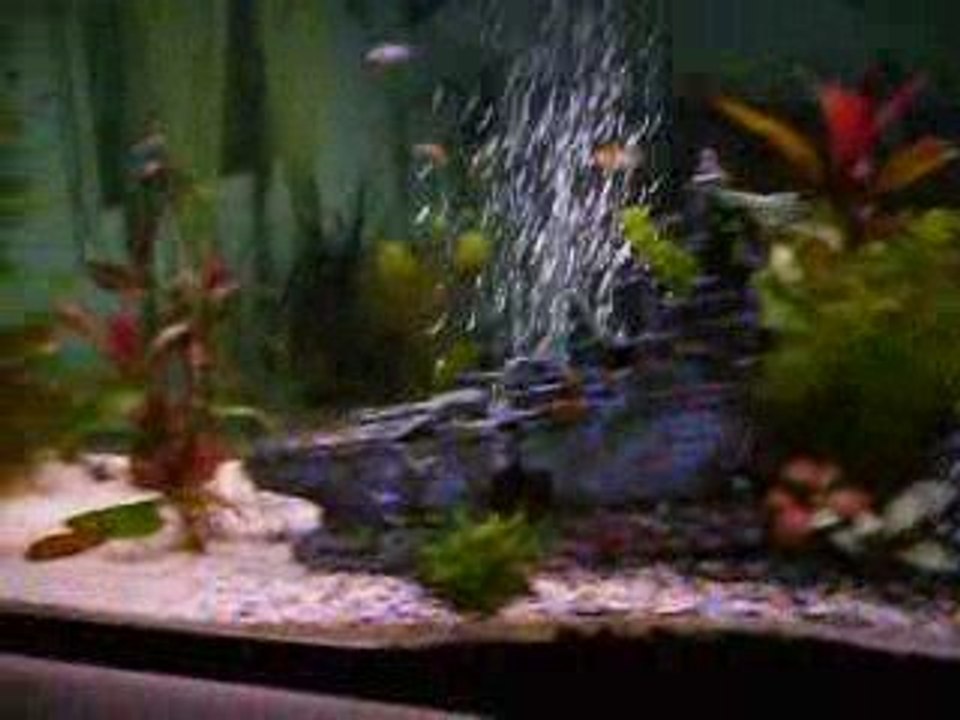 ma derniere vidéo de mon bac et s'est modif