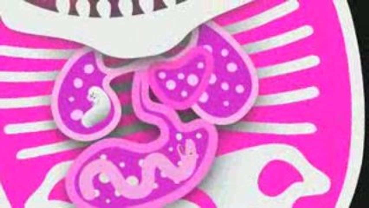 Ariane Moffatt " Jeudi, 17 mai " (EXTRAIT)