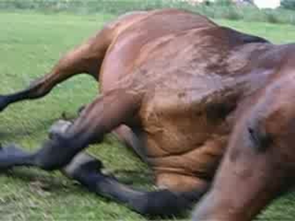 Gamin coucher + assis