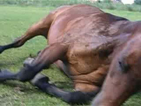 Gamin coucher + assis