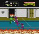 Teenage Mutant Hero Turtles 2 - The Arcade Game (NES)