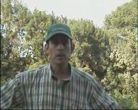 Pic Saint Loup AOC Rouge