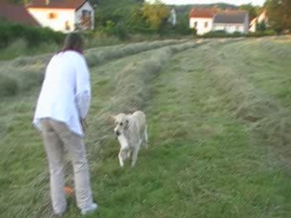 canel foin 19 juin 2009 (4)