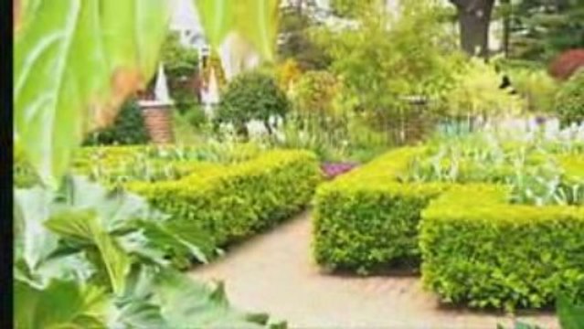 Cosa si puo fare a New York senza spendere niente