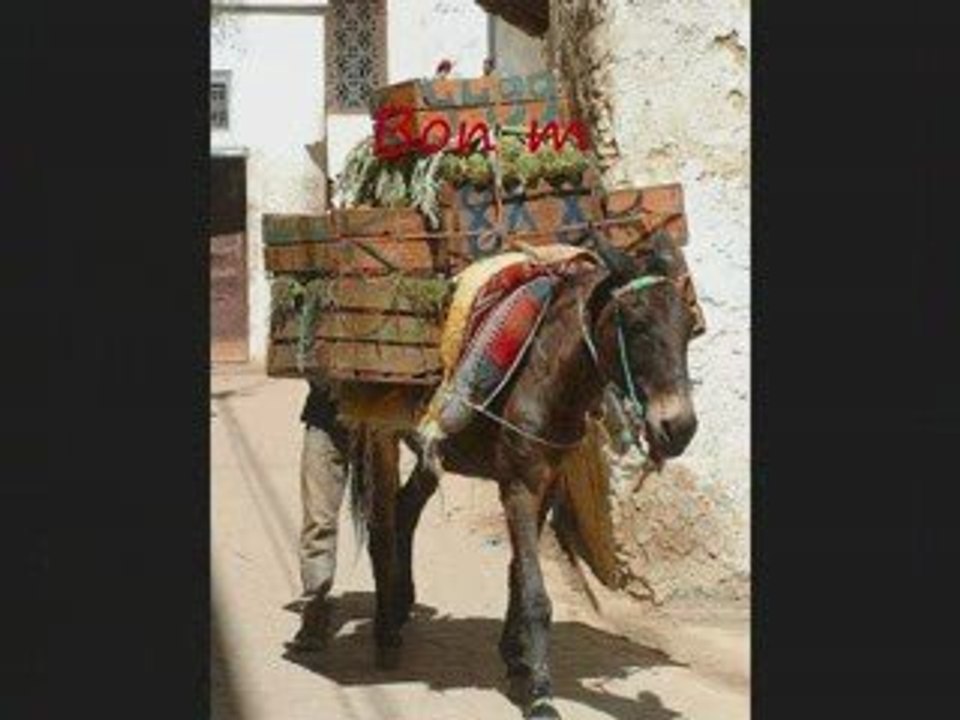 Vignes buissonniéres pic saint loup 2009