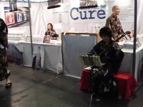 passion-japan : japan expo 2008 joueur de shamisen