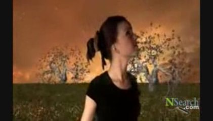 Nikon Digital Cameras - D300 Ad 2