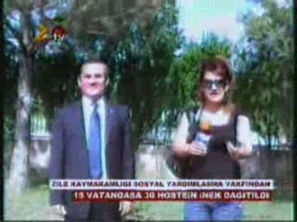 çiftçilerimize 30 inek dağıtıldı