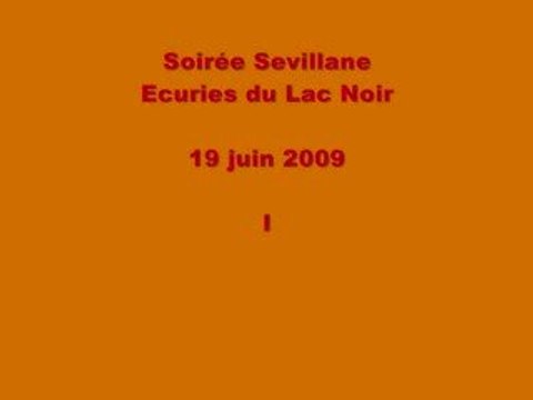 Soirée Sevillane - Ecuries du Lac Noir - 19 juin 2009 - I