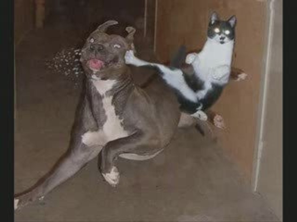 BETE DA FUNK