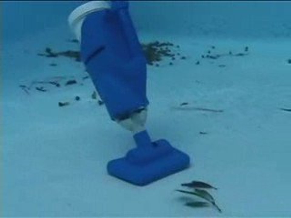 Aspirateur électrique CAT FISH piscine et spa VIGIPISCINE