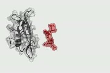 Simulation du domaine SH2 et d'un ligand (GPUGrid)