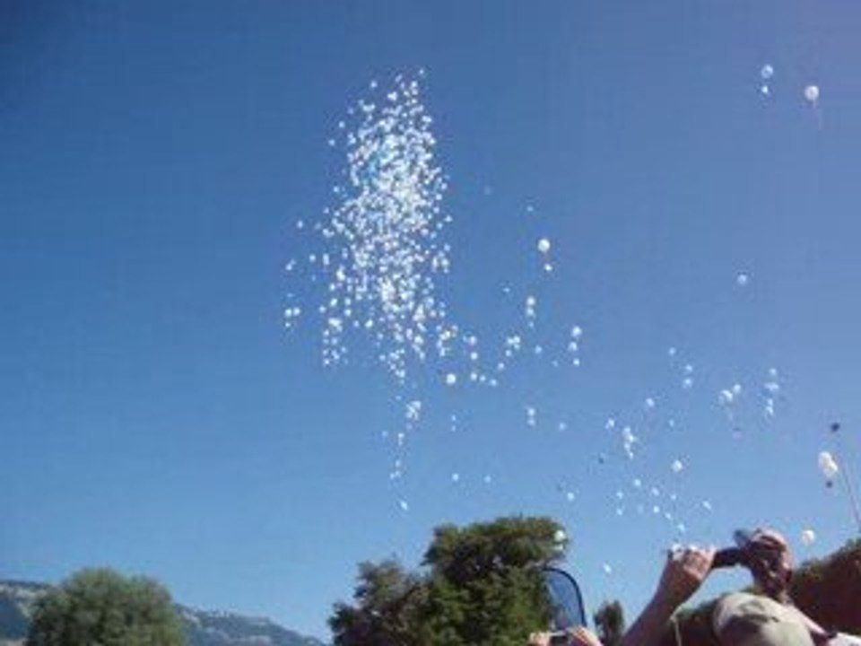 journée entre amies 2009