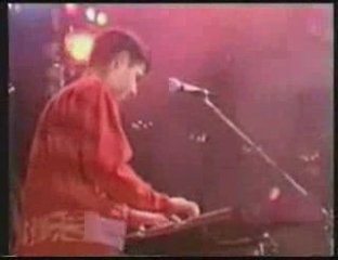 Model.MT-Biała Róza...