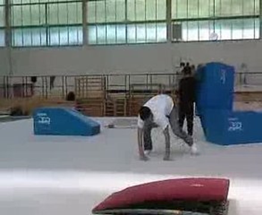 Coup de pied lune vrillé