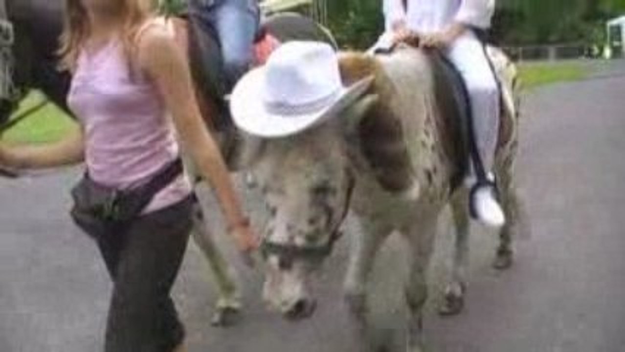 FESTIVAL COUNTRY DE  LAMORLAYE  Promenade en Poneys