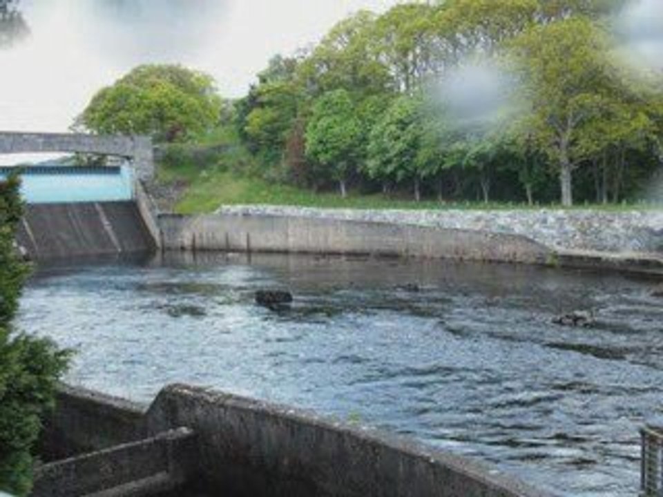 Voyage Ecosse - Mai 2009