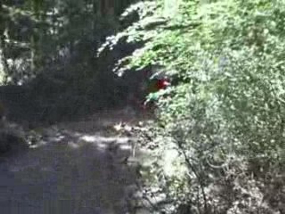 QUAD NEUF DANS LE MORVAN