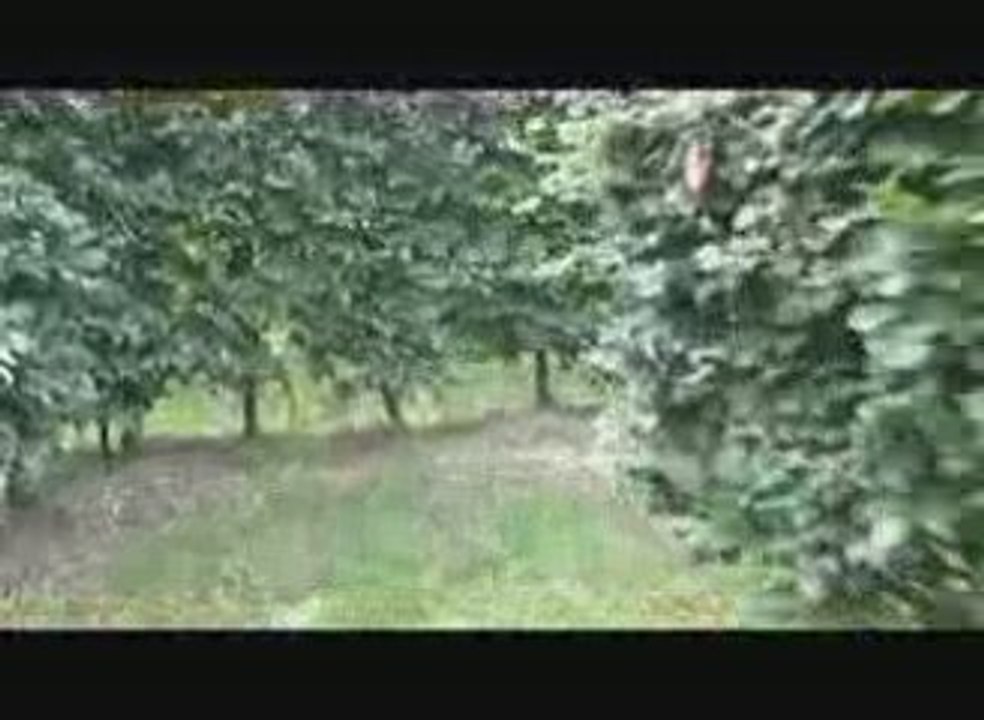 Le labyrinthe de Massy