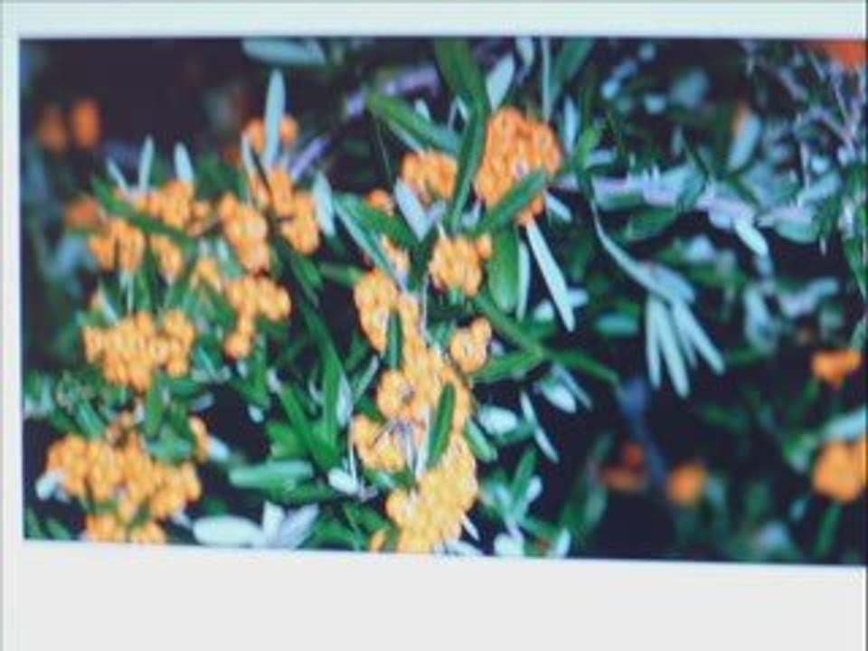 Fotos 7 blog Mario Conde090620