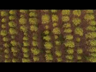 Documental HOME Español (España) (Juan Echanove) parte5