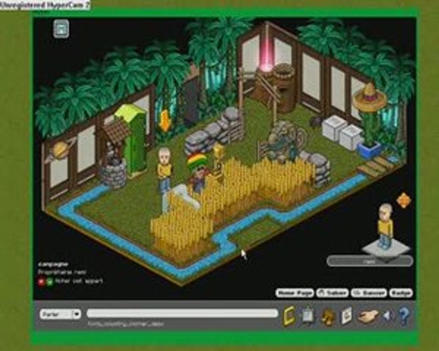 Beta habbo