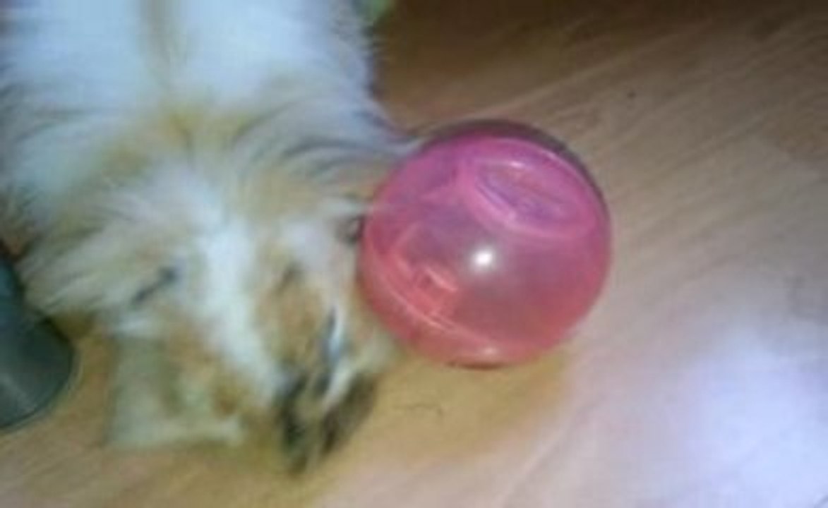 Flash qui joue