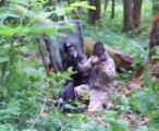 Partie d' airsoft