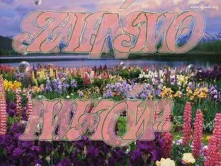 Kwiatowe szaleństwo