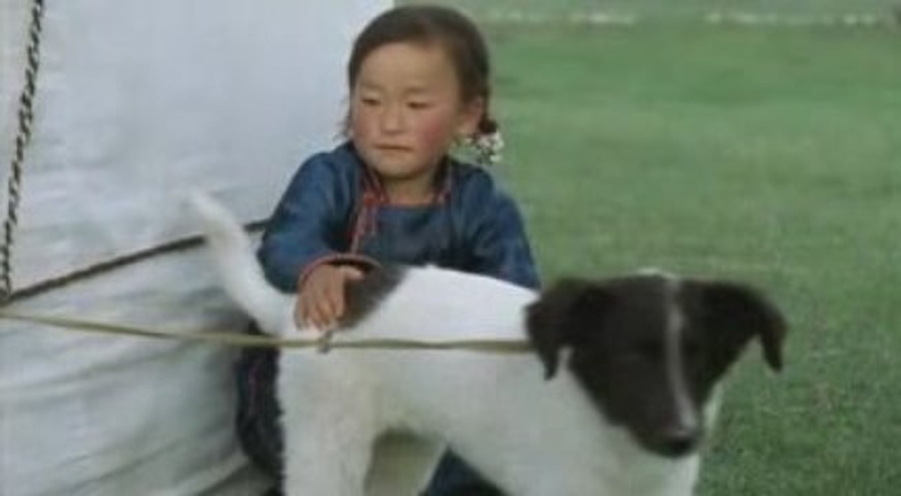 Le.Chien.Jaune.De.Mongolie.4/5