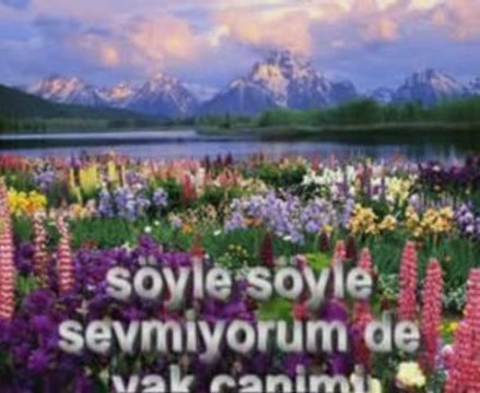 Gökçe Kırgız - Gitme