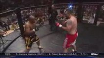 Tim Sylvia vs Ray Mercer  HDnet