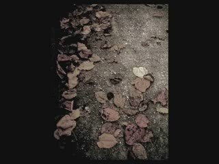 EMRAH- Aşığım ben sana anlasana ((SAFiYE))