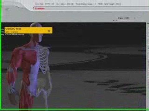 cloudstars.com - 3D Virtual Human Anatomy Studio