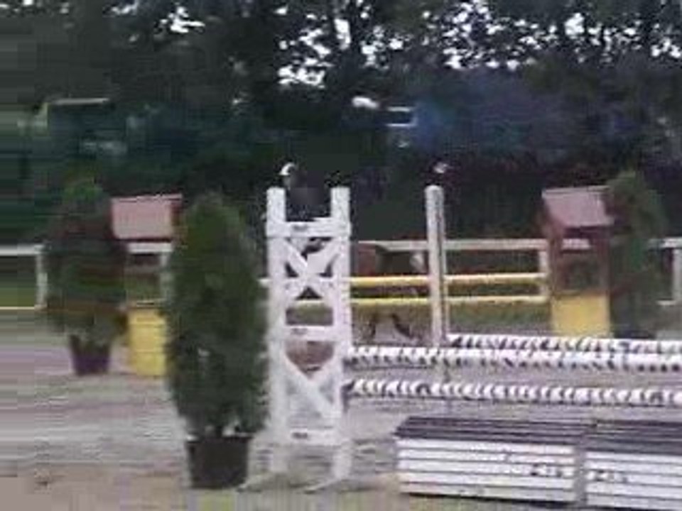 Meeuuuuhhhh TEM - Brest par équipe