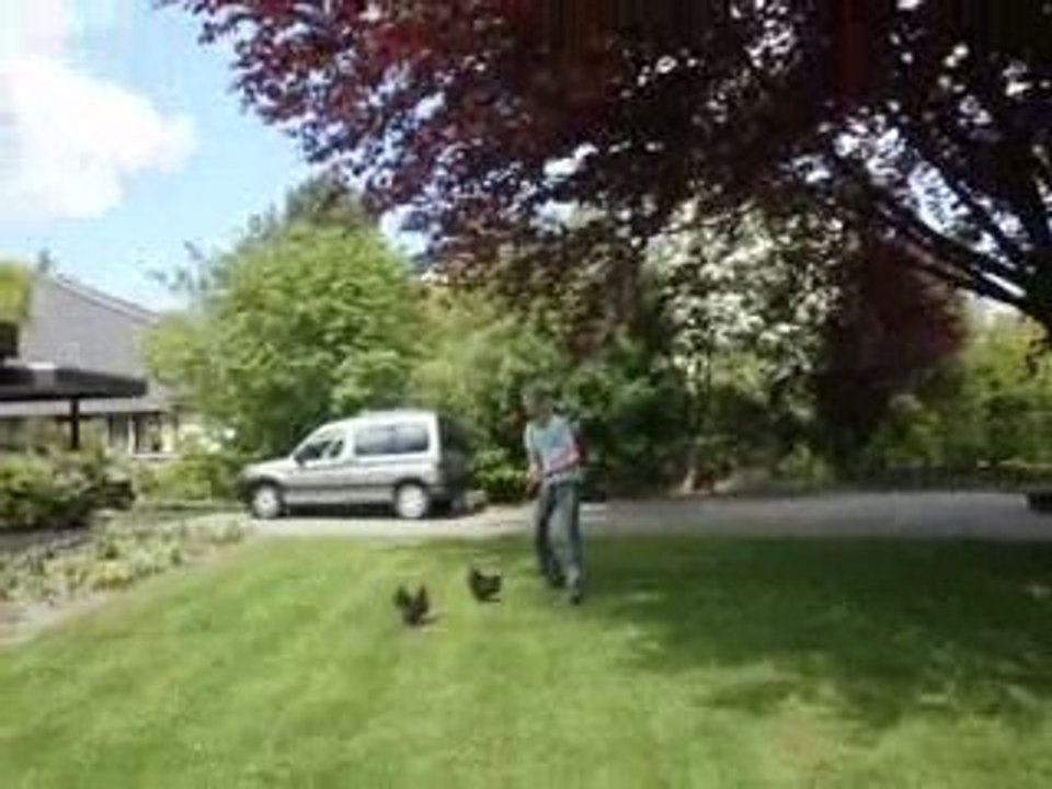 Chicken party 2009_0001