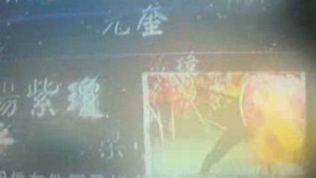 yip man film - donnie yen - hong kong 2009